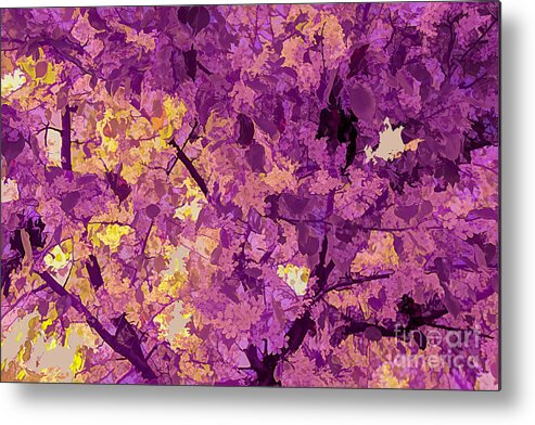 Abstract Metal Print featuring the photograph Abstract Magenta Tree by Roslyn Wilkins