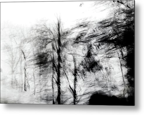 Abstract Metal Print featuring the photograph Abstract Trees 1 by David Ridley