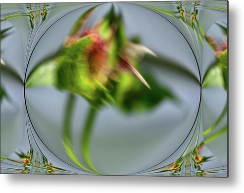 Plants Metal Print featuring the photograph Abstract vision by Buddy Scott