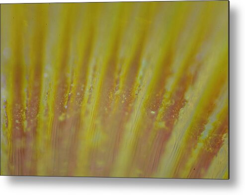 Abstract Metal Print featuring the photograph Abstract Yellow by Neil R Finlay