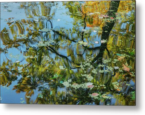 Bronx Botanical Gardens Metal Print featuring the photograph Abstracted Reflection by Cate Franklyn