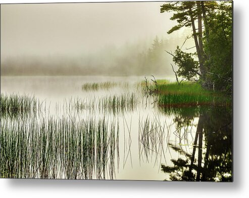 Acadia Metal Print featuring the photograph Acadia Fog 34a2034 by Greg Hartford