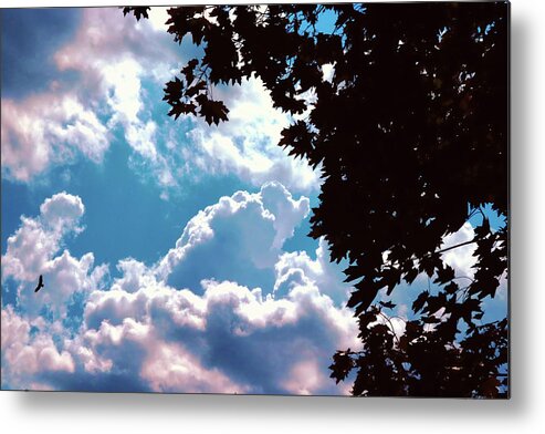 Storm Metal Print featuring the photograph Aeromancy by Mike Smale