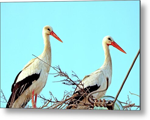  Metal Print featuring the photograph Saudi Arabia 8 by Eric Pengelly