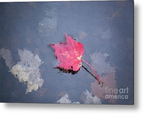 Life Metal Print featuring the digital art Afloat - Autumn Leaf by Rehna George