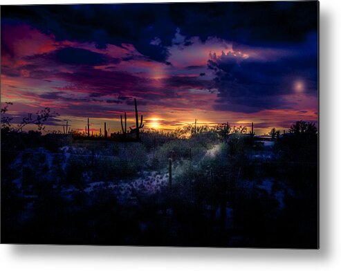 Tucson Metal Print featuring the photograph After the monsoon by Micah Offman