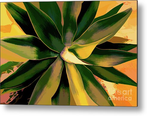 Abstract Metal Print featuring the photograph Agave Abstract by Roslyn Wilkins