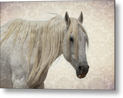 Wild Horses Metal Print featuring the photograph Aged to Perfection by Mary Hone