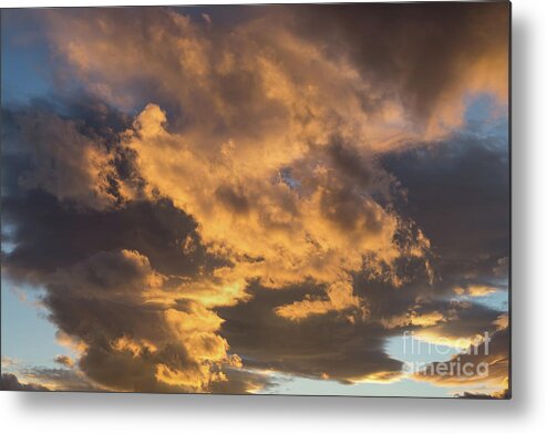 Clouds Metal Print featuring the photograph Air and golden light, sea of clouds by Adriana Mueller