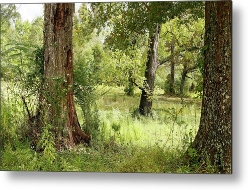 The South Metal Print featuring the photograph Pastoral by Eyes Of CC
