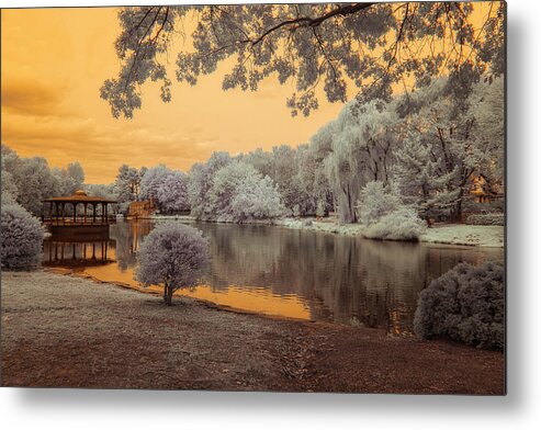 Coopers Pond Metal Print featuring the photograph All is Calm at Coopers Pond by Penny Polakoff
