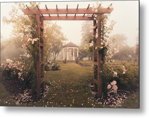 Allentown Metal Print featuring the photograph Allentown Rose Gardens Arbor in the Mist by Jason Fink