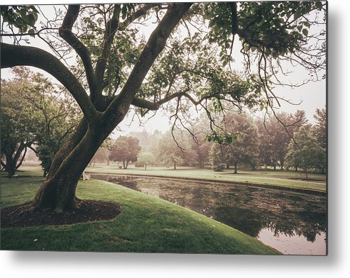 Allentown Metal Print featuring the photograph Allentown Tree By The Pond by Jason Fink