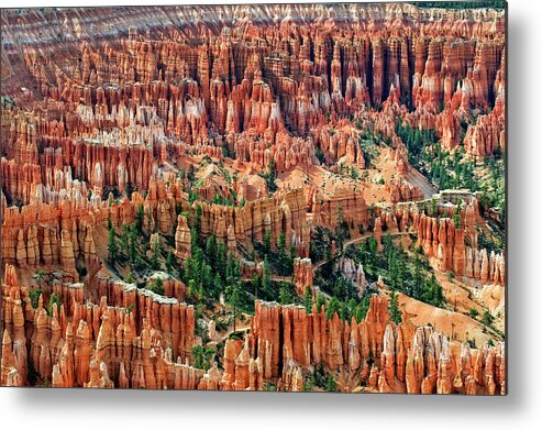 Bryce Canyon National Park Metal Print featuring the photograph Amphitheater At Bryce Canyon by Jim Vallee