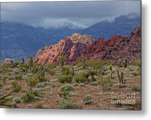 Metal Print featuring the photograph Ancient Faces by Rodney Lee Williams