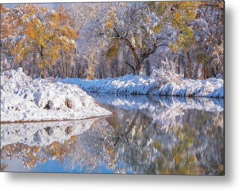 Snow Metal Print featuring the photograph Angel Dusting by Darren White