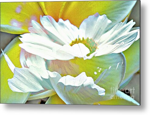 Double Exposure Metal Print featuring the digital art Angel Flowers by Tracey Lee Cassin