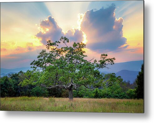 Sunrise Metal Print featuring the photograph Angel's Kiss by C Renee Martin