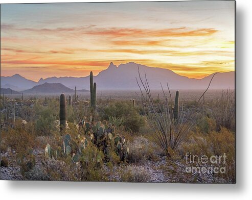 Desert Metal Print featuring the photograph Another Sonoran Sunrise by Jeff Hubbard