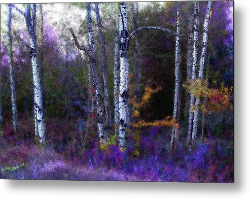 Aspen Metal Print featuring the photograph Aspen in Purple and Blue by Wayne King