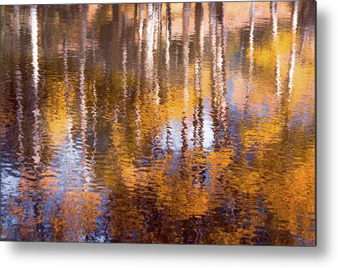 Aspens Metal Print featuring the photograph Aspen Reflection by The Forests Edge Photography - Diane Sandoval