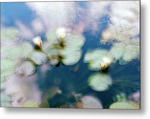 Impressionism Photos Metal Print featuring the photograph At Claude Monet's Water Garden 4 by Dubi Roman