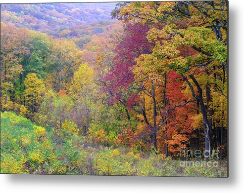 Brown Metal Print featuring the photograph Autumn Arrives in Brown County - D010020 by Daniel Dempster