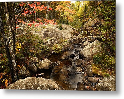 Landscape Metal Print featuring the photograph Autumn at Dry Creek by Larry Ricker