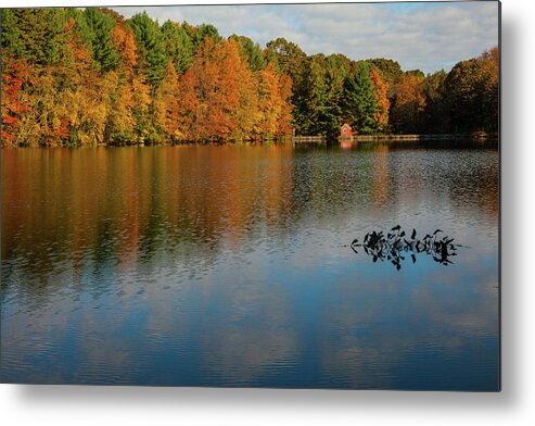 Autumn Metal Print featuring the photograph Autumn at Hope Lake by Karol Livote