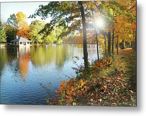 Autumn Metal Print featuring the photograph Autumn at Tilley Pond by Diana Angstadt