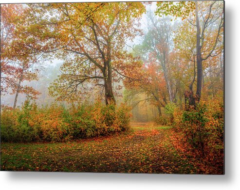 Autumn Metal Print featuring the photograph Autumn Colors 0901 by Greg Hartford