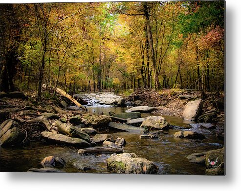 Creek Metal Print featuring the photograph Autumn Creek by Pam Rendall