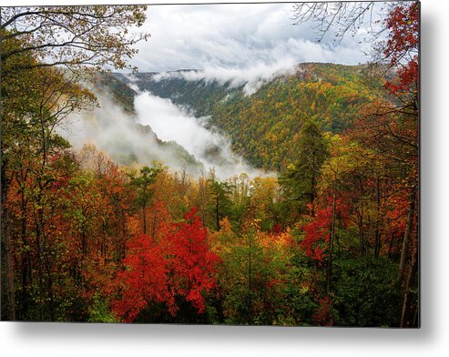 New River Gorge National Park & Preserve Metal Print featuring the photograph Autumn Fog At New River Gorge by Mark Papke