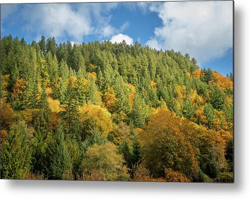 Oregon Coastal Autumn Metal Print featuring the photograph Autumn Hills by Bill Posner