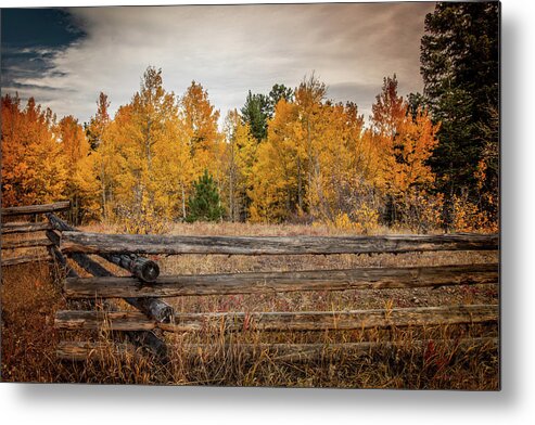 Colorado Metal Print featuring the photograph Autumn in Colorado by Kevin Schwalbe