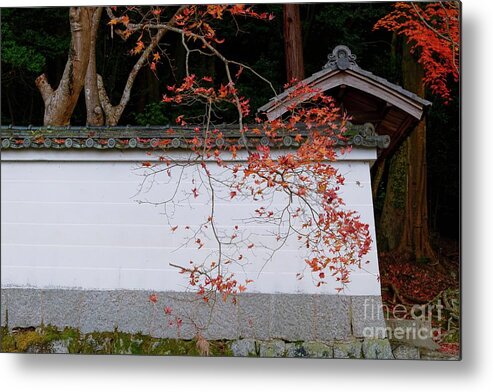 Autumn Metal Print featuring the photograph Autumn in Kyoto by Dean Harte