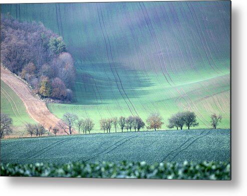 South Metal Print featuring the photograph Autumn in South Moravia 2 by Dubi Roman