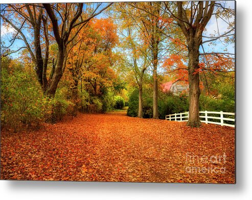 Autumn Metal Print featuring the photograph Autumn in the Country by Shelia Hunt