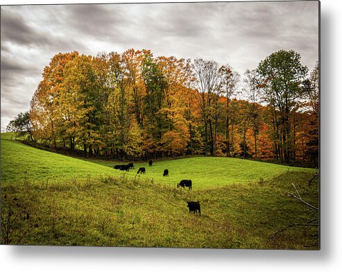 Fall Metal Print featuring the photograph Autumn in Vermont in the Woodstock Countryside 4 by Ron Long Ltd Photography