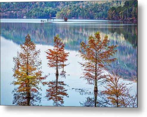Baldcypresses Metal Print featuring the photograph Autumn Lake Reflections by Jurgen Lorenzen