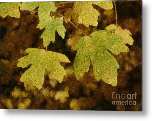 Digital Art Metal Print featuring the photograph Autumn Leaves 28 by Jean Bernard Roussilhe