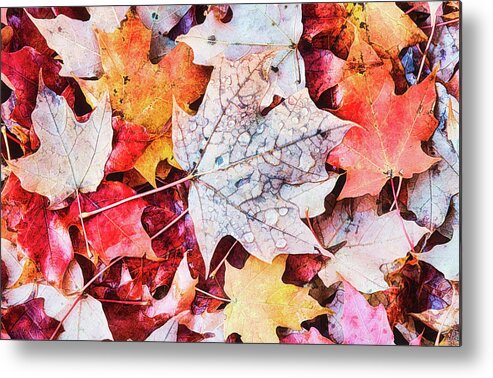 Autumn Metal Print featuring the photograph Autumn Leaves Abstract by Gary Slawsky
