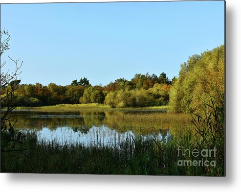 Landscape Metal Print featuring the photograph Autumn on Bavelaw Marsh by Yvonne Johnstone