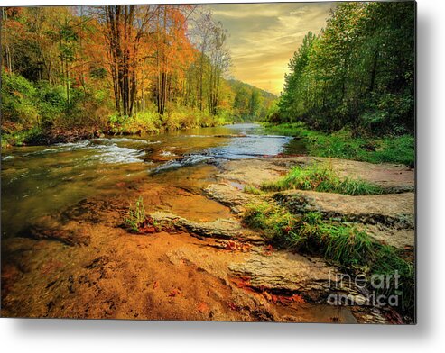 Elk River Metal Print featuring the photograph Autumn on Elk River by Shelia Hunt