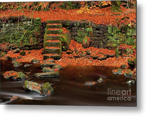 Uk Metal Print featuring the photograph Autumn On The Riverbanks by Tom Holmes Photography