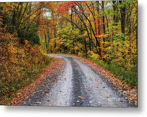 Autumn Metal Print featuring the photograph Autumn Rain Service Road by Thomas R Fletcher