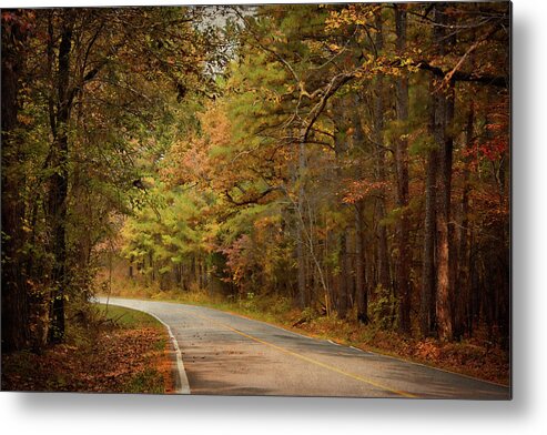 Arkansas Metal Print featuring the photograph Autumn Road by Lana Trussell