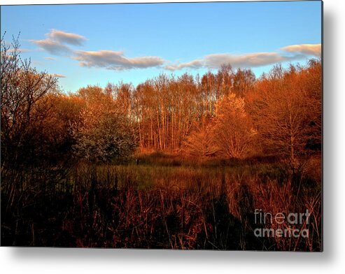 Nature Metal Print featuring the photograph Autumn splendour by Baggieoldboy