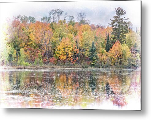 Landscape Metal Print featuring the photograph Autumn Swan Lake by Patti Deters