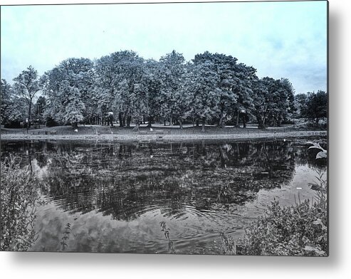 Trees Metal Print featuring the photograph Autumn Trees Reflections by Jeff Townsend